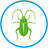Insectes control